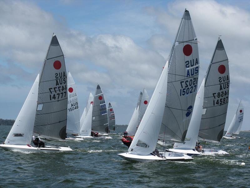 Fireball sailboats sailing upwind