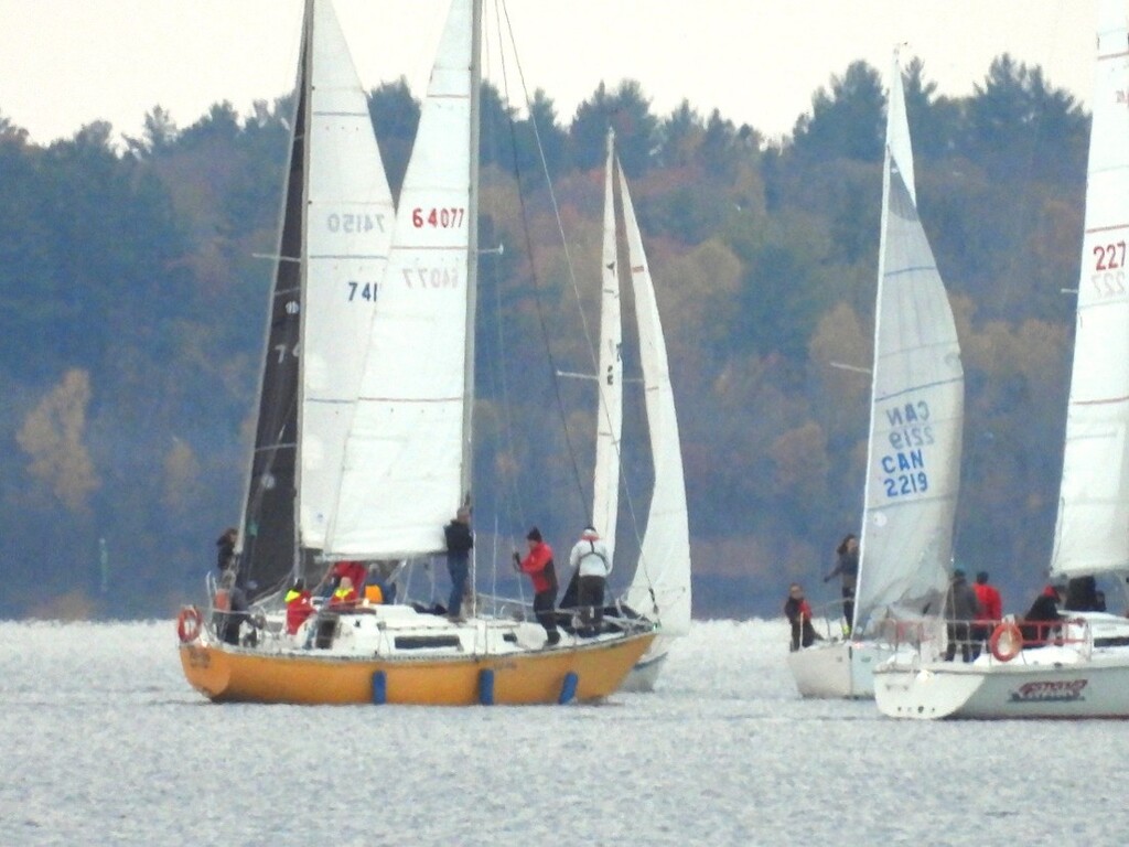 Sailboats sailing in front of trees on shore