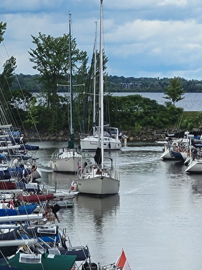 A parade of sailboats entering the harbour