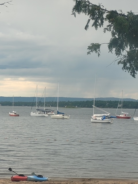 sailboats moored
