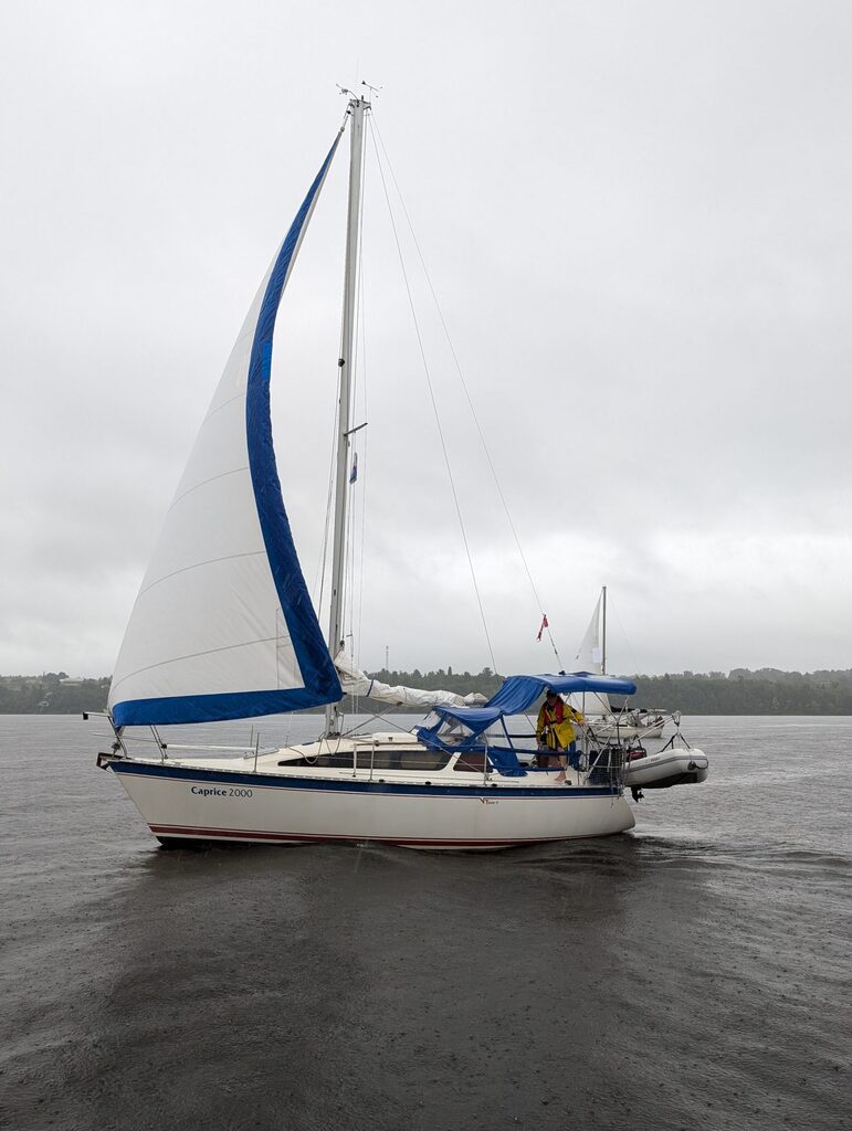 Sailboat with one sail in the rain - SoloSail