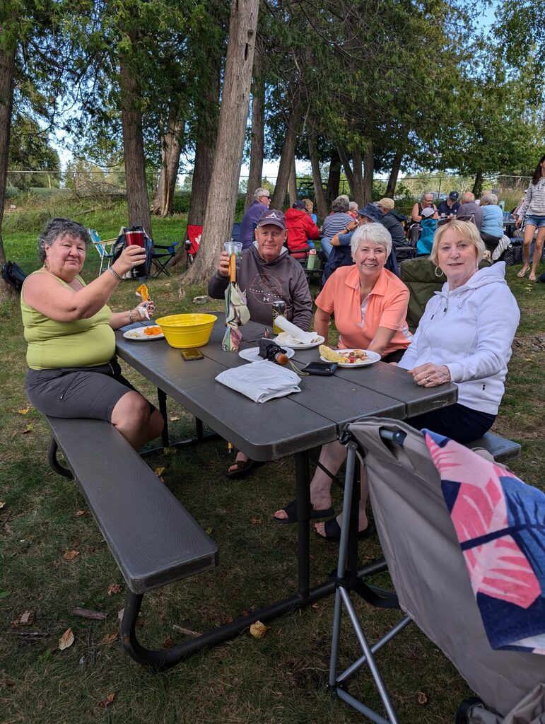people at a picnic